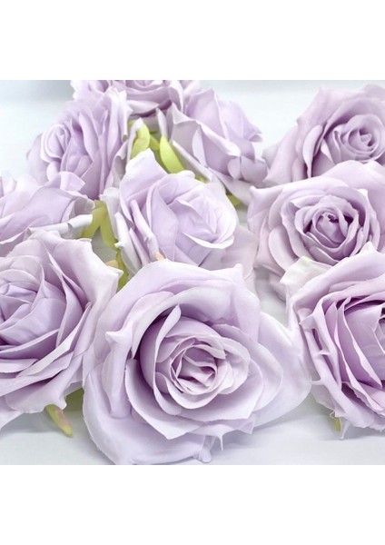 Tüplü Yediveren Eflatun Lila Salzburg Yoğun Kokulu Gül Fidanı