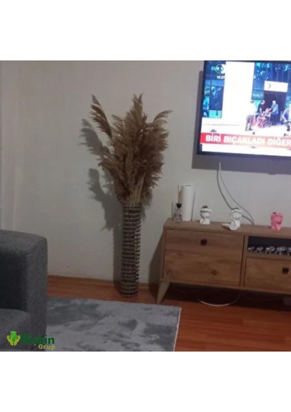 Pampas Natural Dekorasyon Süs Çiçeği 40