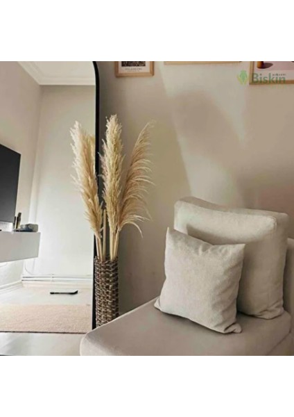 Pampas Natural Dekorasyon Süs Çiçeği 40