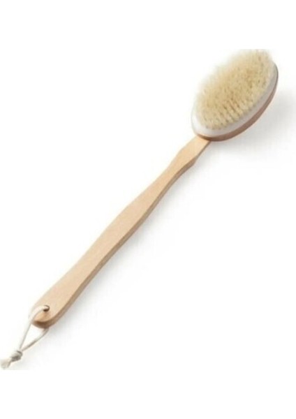 Organik Doğal At Kılı Banyo Fırçası fırsatları