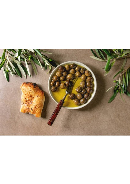 Ev Yapımı Zeytin Reçeli 710 G fiyatları