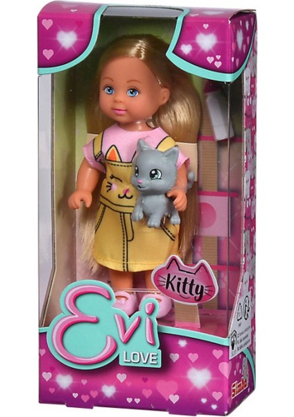 Evi ve Kedisi