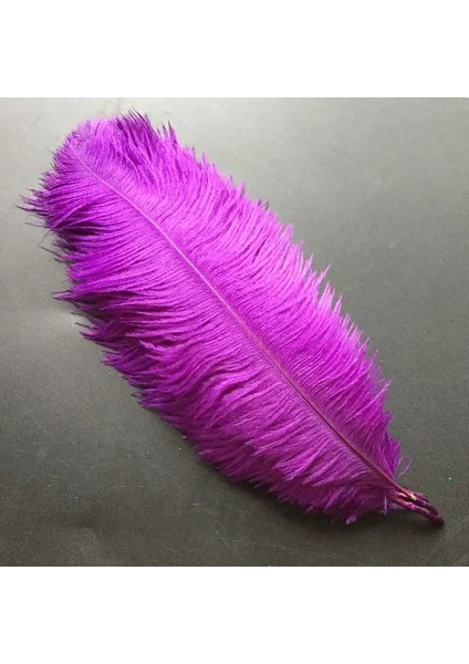 400 Pcs Decor Vıp Purple Bırd Feather 400 Adet Mor Kuş Tüyü Mor Şeffaf Balon Tüyü Mor Süsleme Tüyü