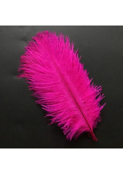 400 Pcs Decor Vıp Dark Pınk Bırd Feather 400 Adet Koyu Pembe Kuş Tüyü Şeffaf Balon Tüyü Süsleme Tüyü