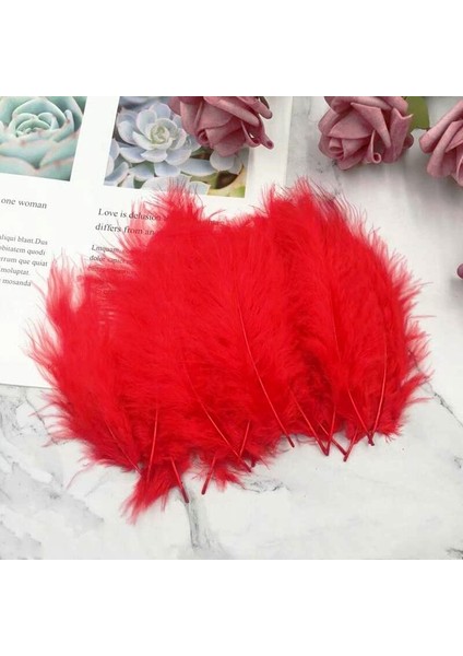 100 Adet Kırmızı Kuş Tüyü Decor Vıp Red Bırd Feather Kırmızı Şeffaf Balon Tüyü Kırmızı Süsleme Tüyü