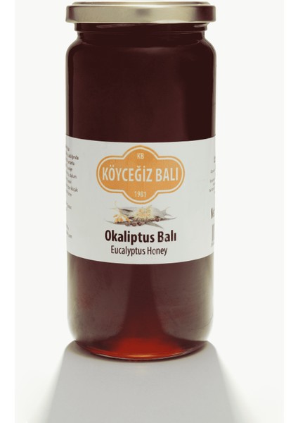 Okaliptus Balı 660 gr Cam Kavanoz