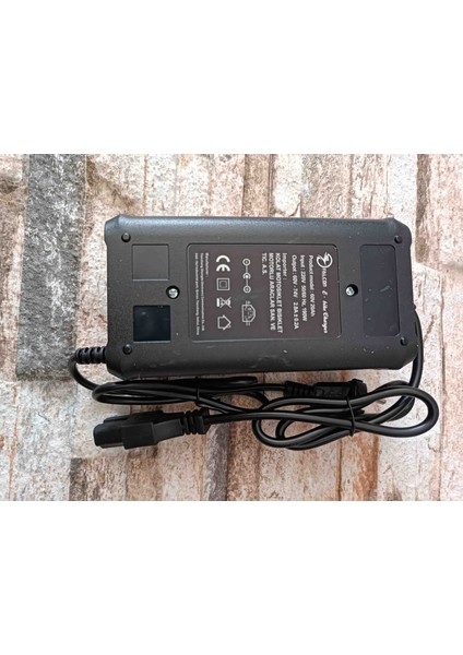 Flc Elektrikli Bisiklet Şarj Aletini 60V 20AH(5 Bataryalı)