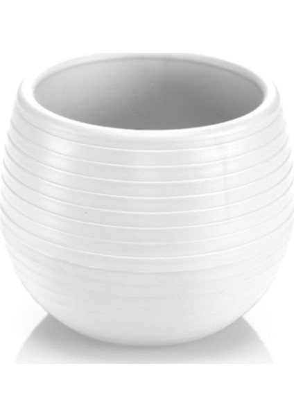 Elvan Kaktüs Saksı 0,13 Litre Sukulent Saksısı Beyaz fiyatları