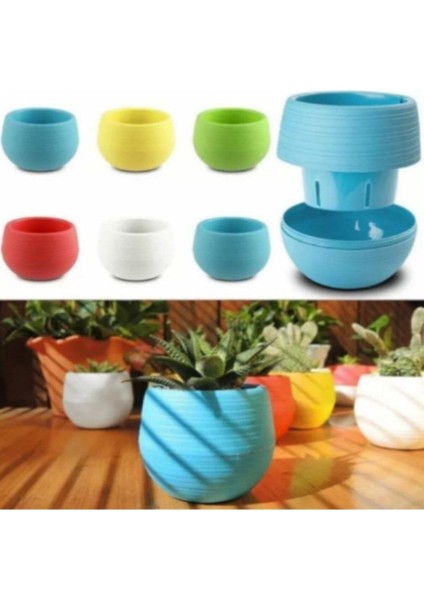 Elvan Kaktüs Saksı 0,13 Litre Sukulent Saksısı Beyaz fırsatları