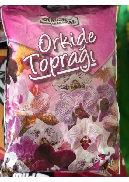 Orkide Toprağı