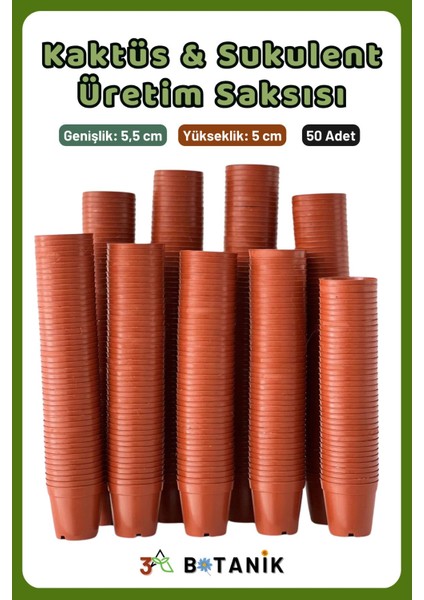Kaktüs - Sukulent - Bitki Üretim Saksısı, 5,5 Cm, 50 Adet
