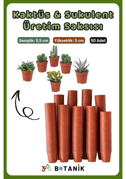 Kaktüs - Sukulent - Bitki Üretim Saksısı, 5,5 Cm, 50 Adet modelleri