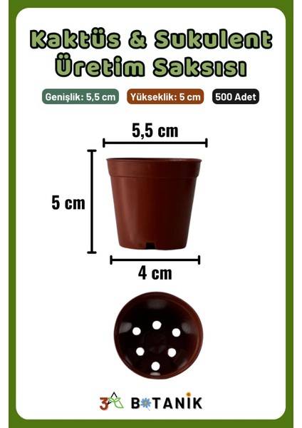 Kaktüs - Sukulent - Bitki Üretim Saksısı, 5,5 Cm, 500 Adet fiyatları