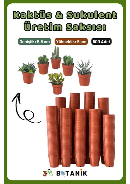Kaktüs - Sukulent - Bitki Üretim Saksısı, 5,5 Cm, 500 Adet modelleri