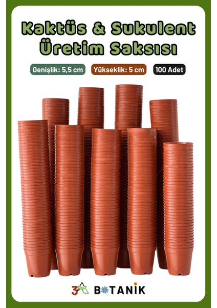 Kaktüs - Sukulent - Bitki Üretim Saksısı, 5,5 Cm, 100 Adet