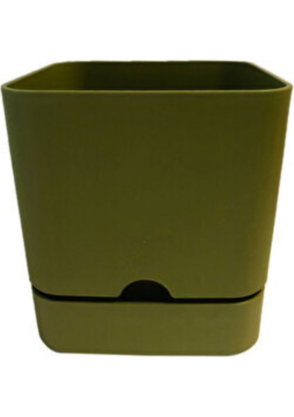 Begonya Saksı Kare 16 cm Yeşil