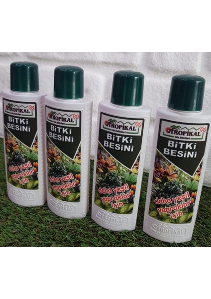 Yeşil Yapraklı Bitkiler İçin Bitki Besini 4 Adet 225 ml Sıvı Gübre Benjamin Besini Bitki Vitamini