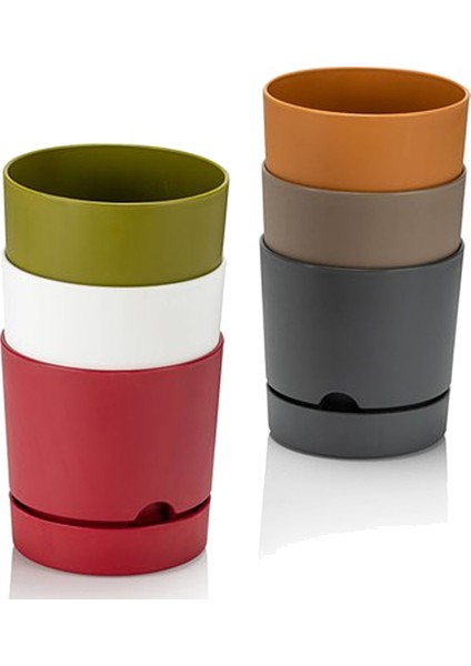 Begonya 12 Beyaz Saksı fiyatları