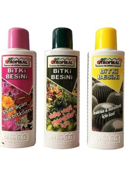 Bitki Besini 225 ml Çiçek Açan Süs Bitkileri + Daha Yeşil Yapraklı Bitkiler + Kaktüs