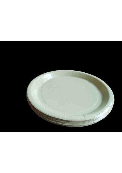 20 cm Karton Tabak 25 Adet