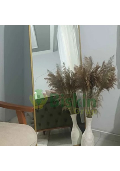 Pampas Natural Dekorasyon Süs Çiçeği 20 fırsatları