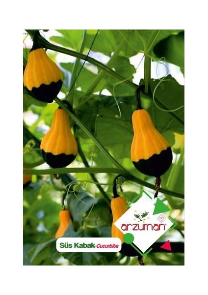 Süs Kabağı Tohumu (10 Adet)
