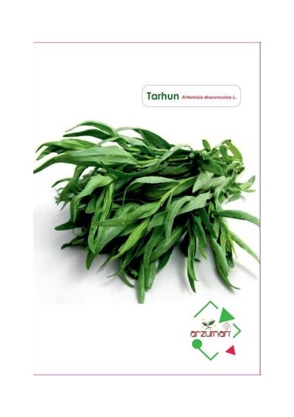 Tarhun Tohumu (50 Adet)