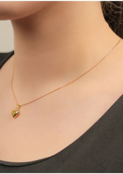 4 gr (Gram) Kalp Uçlu (Forse Zincir) 45 cm Kolye 22 Ayar Altın fiyatları