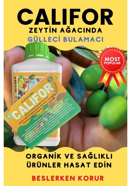 Gülleci Bulamacı-Califor 1 Lt modelleri