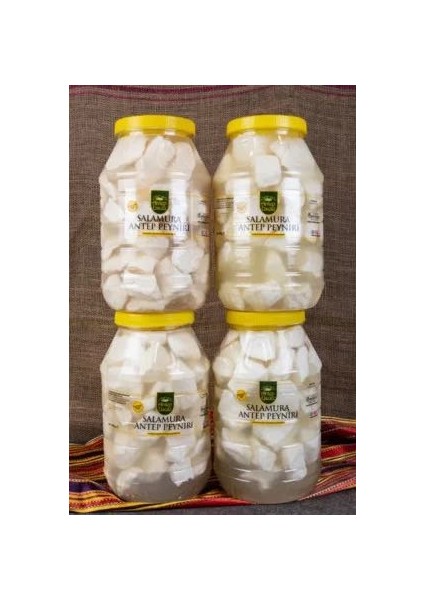 Antep Peyniri ( Inek ) Az Tuzlu Salamura 10 kg (4x2,5 kg Bidon)