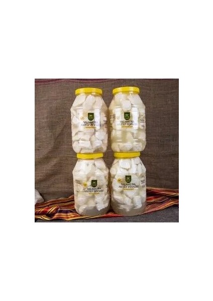 Antep Peyniri ( Inek ) Az Tuzlu Salamura 10 kg (4x2,5 kg Bidon) fiyatları