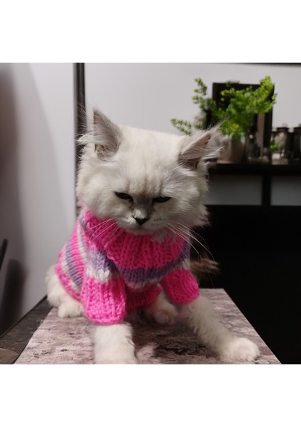Kedi Köpek için Pembe Çizgili Ayıcıklı Kazak