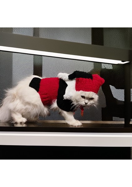 Kedi Köpek için Kırmızı Siyah Soytarı Kostümü