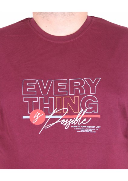 Erkek Büyük Beden Sıfır Yaka Tişört In Possible 25147 Murdum fiyatları