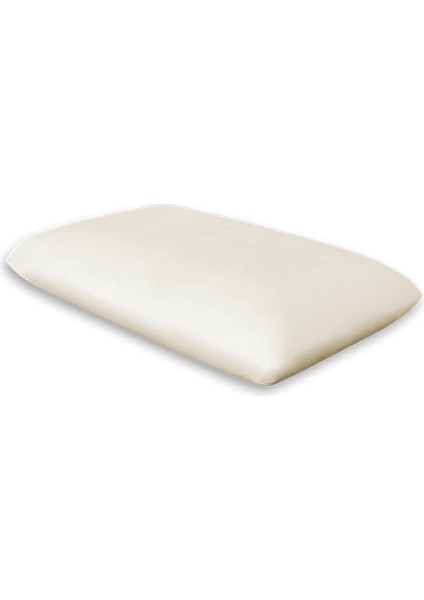 Visko Klasik Boyun Yastığı (60 x 40 x 15) Code 1112
