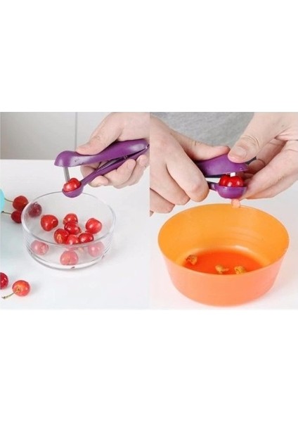 Zeytin Çekirdeği Çıkartma Aparatı