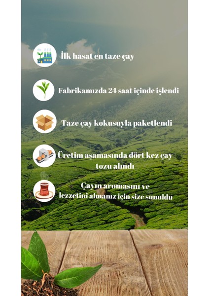 Zirve 1000G