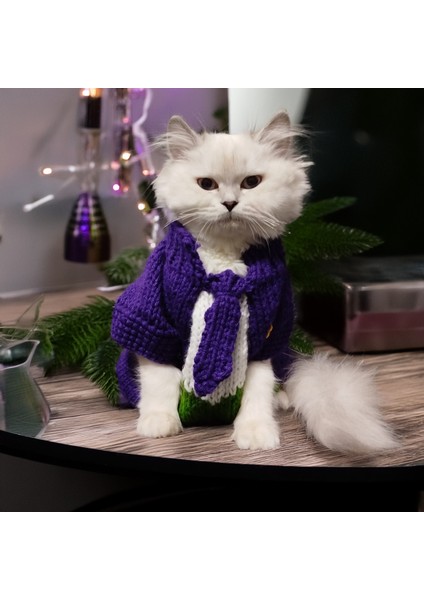 Kedi Köpek için Mor Joker Kostümü