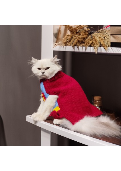 Kedi Köpek için Tek Parça Pelerinli Superman Kostümü