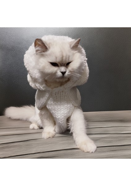 Kedi Köpek için Kürklü Kapüşonlu Beyaz Kazak fiyatları