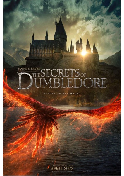Fantastic Beasts The Secrets Of Dumbledore (2022) 3 (Folyo / Afiş / Poster) 2785 ( 35 cm x 50 cm )