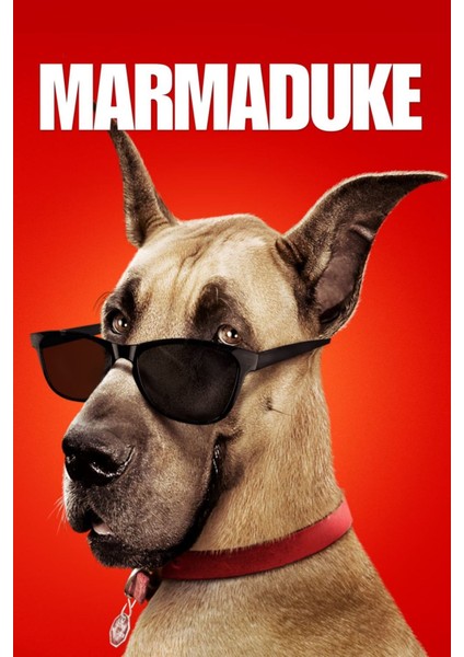 Marmaduke (2010) 1 ( Folyo ) - Afiş - POSTER-4494 ( 35 cm x 50 cm )