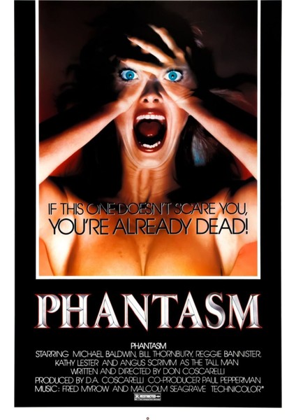 Phantasm (1979) 2 (Folyo / Afiş / Poster) 5035 ( 35 cm x 50 cm )