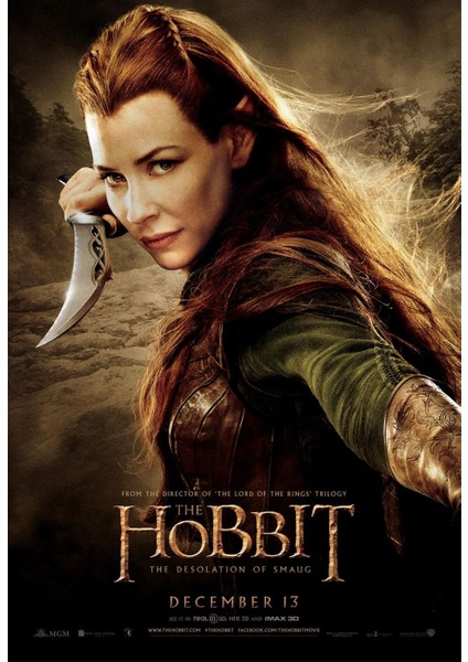 The Hobbit The Desolation Of Smaug (2013) 4 (Folyo / Afiş / Poster) 7173 ( 35 cm x 50 cm )