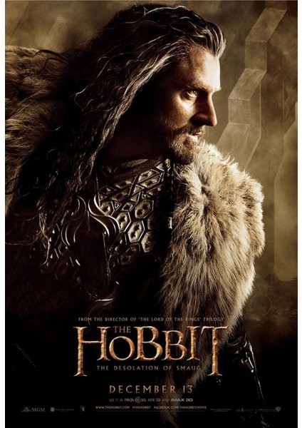 The Hobbit The Desolation Of Smaug (2013) 2 (Folyo / Afiş / Poster) 7171 ( 35 cm x 50 cm )