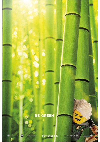 The L.e.g.o Ninjago Movie 2017 ( 35 cm x 50 cm )