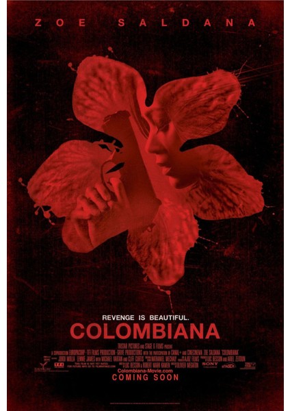 Colombiana (2011) 1 ( Folyo ) - Afiş - POSTER-2203 ( 50 cm x 70 cm )