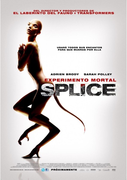 Splice (2009) 2 Afiş - Poster ( Folyo ) - Afiş - POSTER-6011 ( 50 cm x 70 cm )