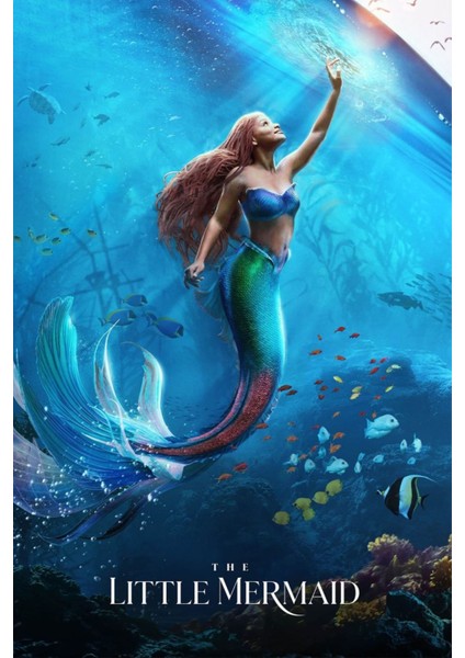 The Little Mermaid (2023) 0003 (Folyo / Afiş / Poster) 7465 ( 50 cm x 70 cm )