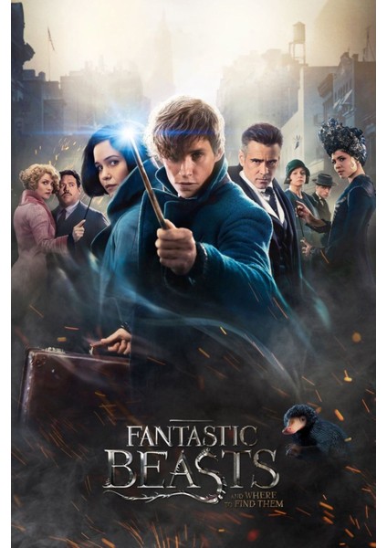 Fantastic Beasts And Where To Find Them (2016) 6 ( Folyo ) - Afiş - POSTER-2774 ( 70 cm x 100 cm )